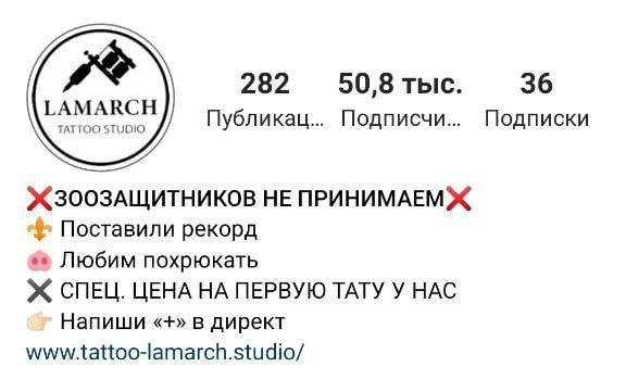 В Киеве в тату-салон привели свинью, чтобы набить ей на спине купола и установить рекорд 6