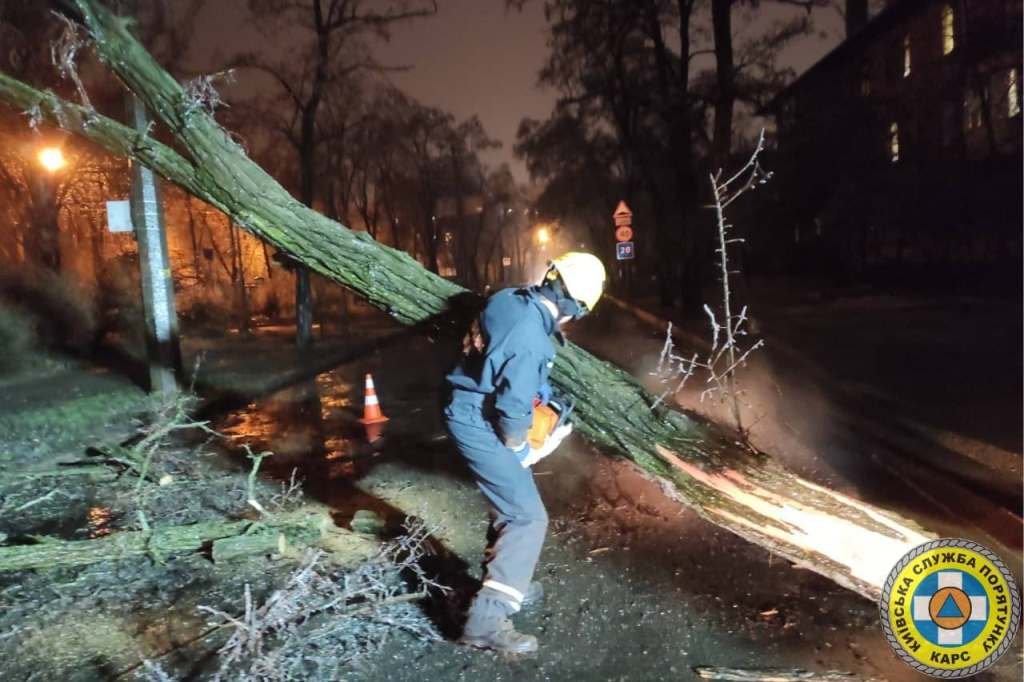 В Киеве из-за непогоды на тротуары и автомобили продолжают падать обледеневшие деревья: будьте осторожны 1