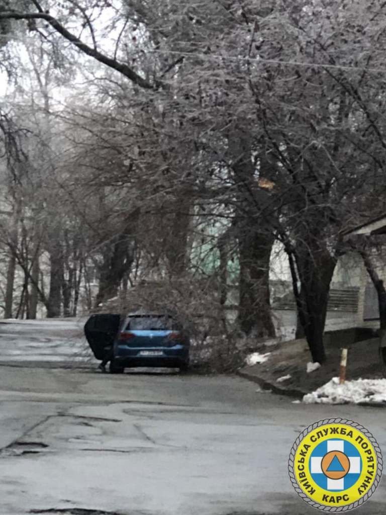 В Киеве из-за непогоды на тротуары и автомобили продолжают падать обледеневшие деревья: будьте осторожны 2