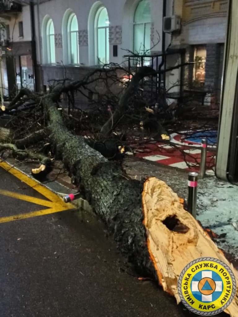 В Киеве из-за непогоды на тротуары и автомобили продолжают падать обледеневшие деревья: будьте осторожны 3