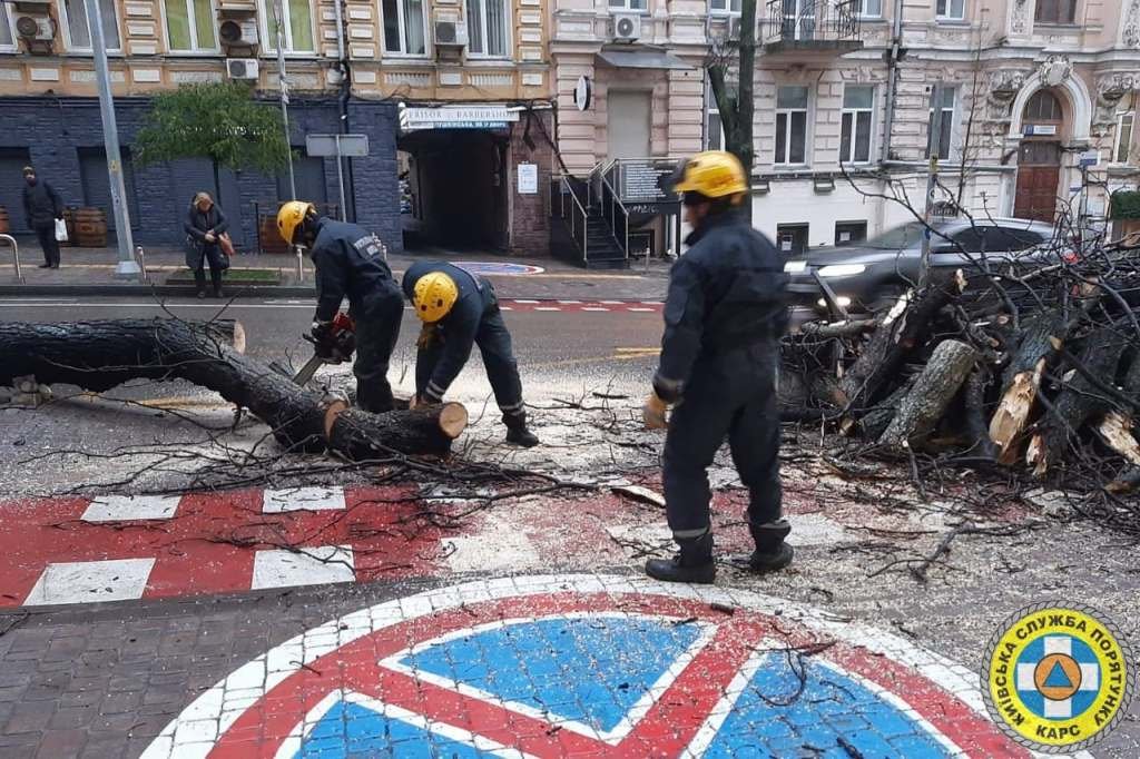 В Киеве из-за непогоды на тротуары и автомобили продолжают падать обледеневшие деревья: будьте осторожны 5