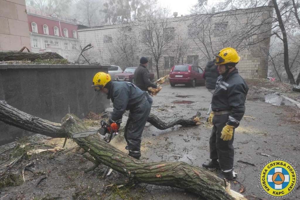 В Киеве из-за непогоды на тротуары и автомобили продолжают падать обледеневшие деревья: будьте осторожны 6