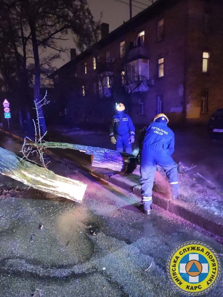 В Киеве из-за непогоды на тротуары и автомобили продолжают падать обледеневшие деревья: будьте осторожны 7