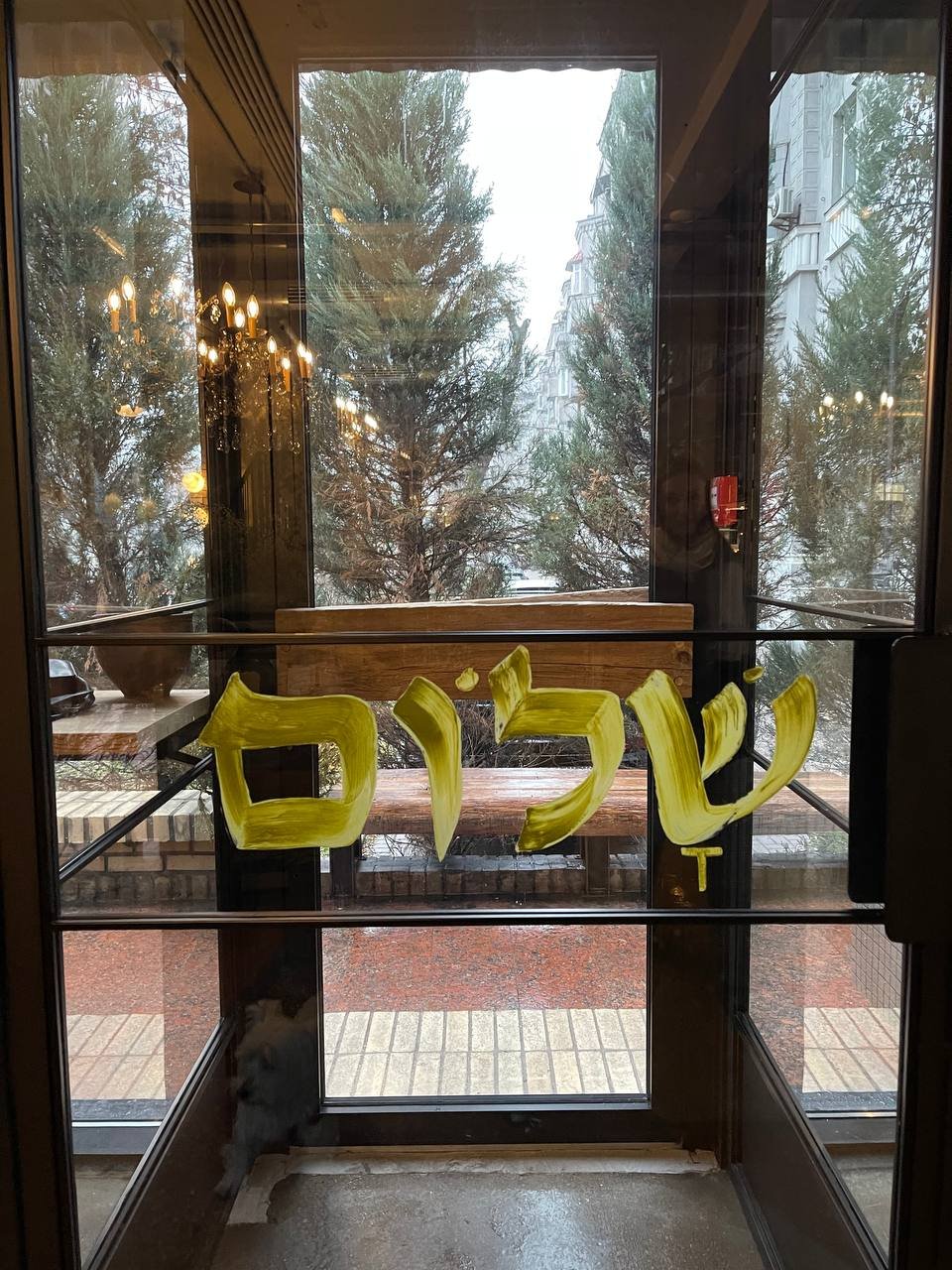 В Киеве открыли новое израильское кафе Shalom: цены, меню, интерьер 1