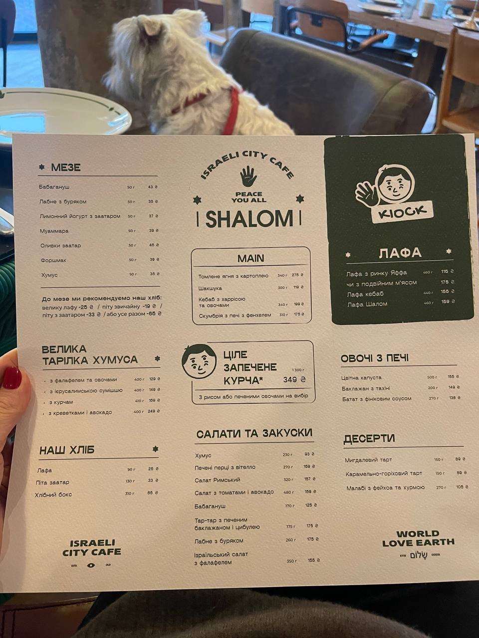 В Киеве открыли новое израильское кафе Shalom: цены, меню, интерьер 8