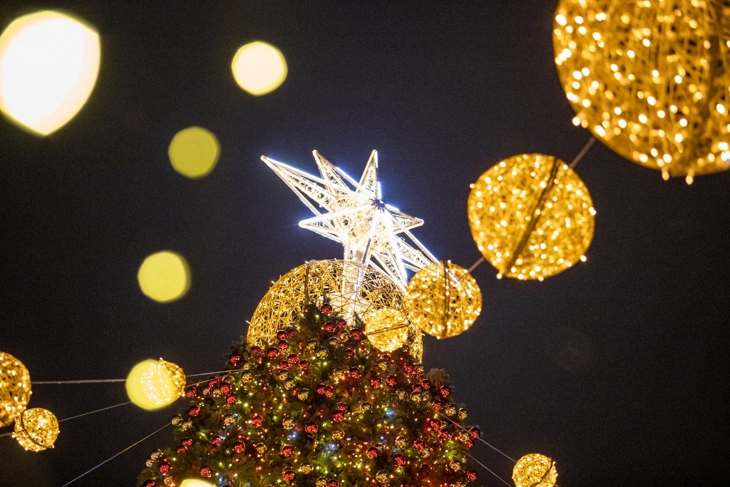 Главная елка Киева и Украины 2022: как менялись новогодние деревья с 2015 года 4