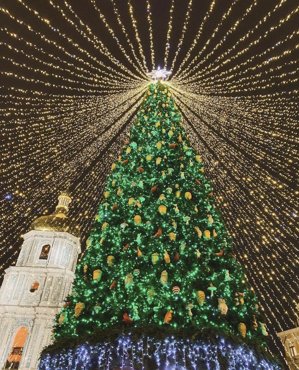 Главная елка Киева и Украины 2022: как менялись новогодние деревья с 2015 года 12