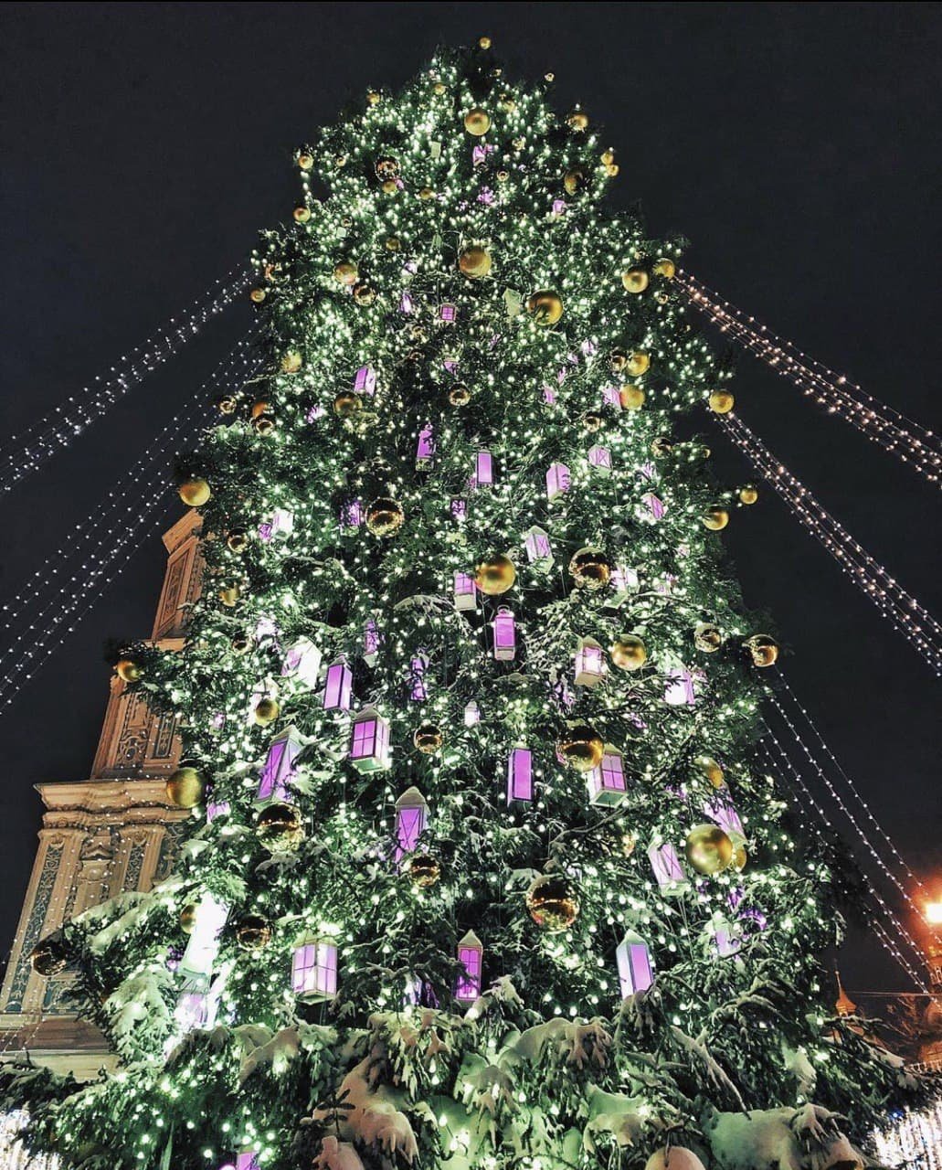 Главная елка Киева и Украины 2022: как менялись новогодние деревья с 2015 года 15