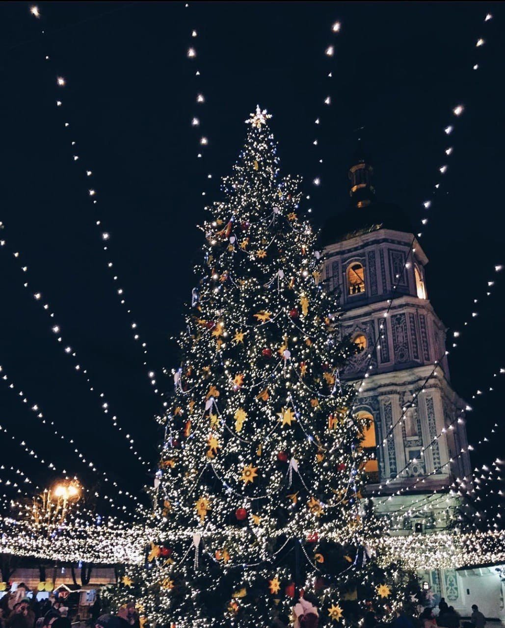 Главная елка Киева и Украины 2022: как менялись новогодние деревья с 2015 года 16