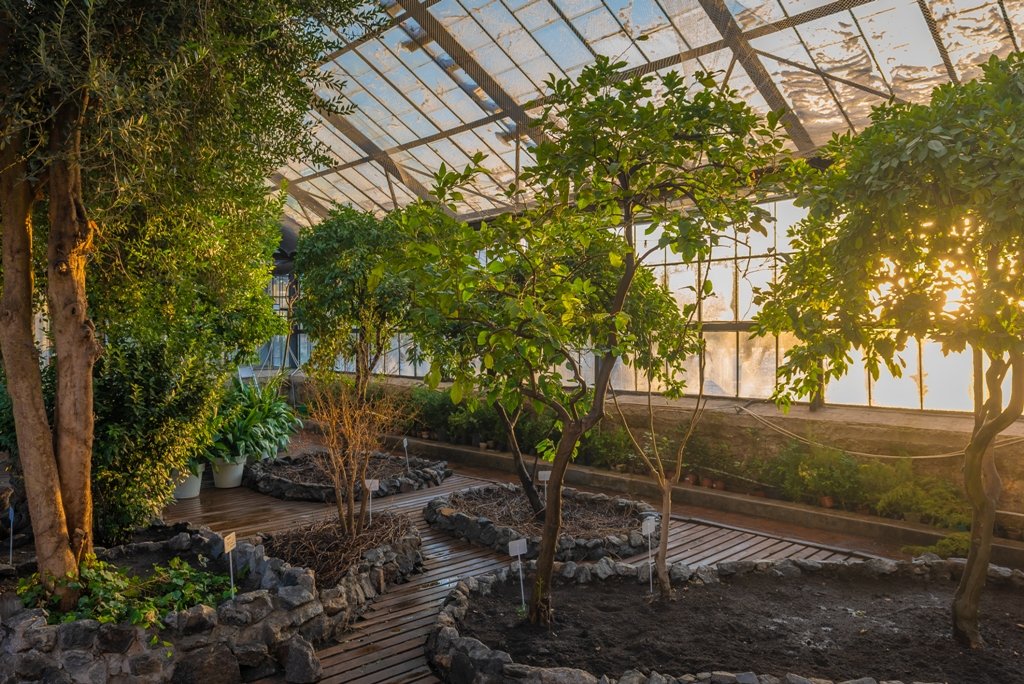 В Оранжерее на ВДНГ начнут работать фотозоны и теплый бар: как попасть на вечеринку Hendrick's Bar 1