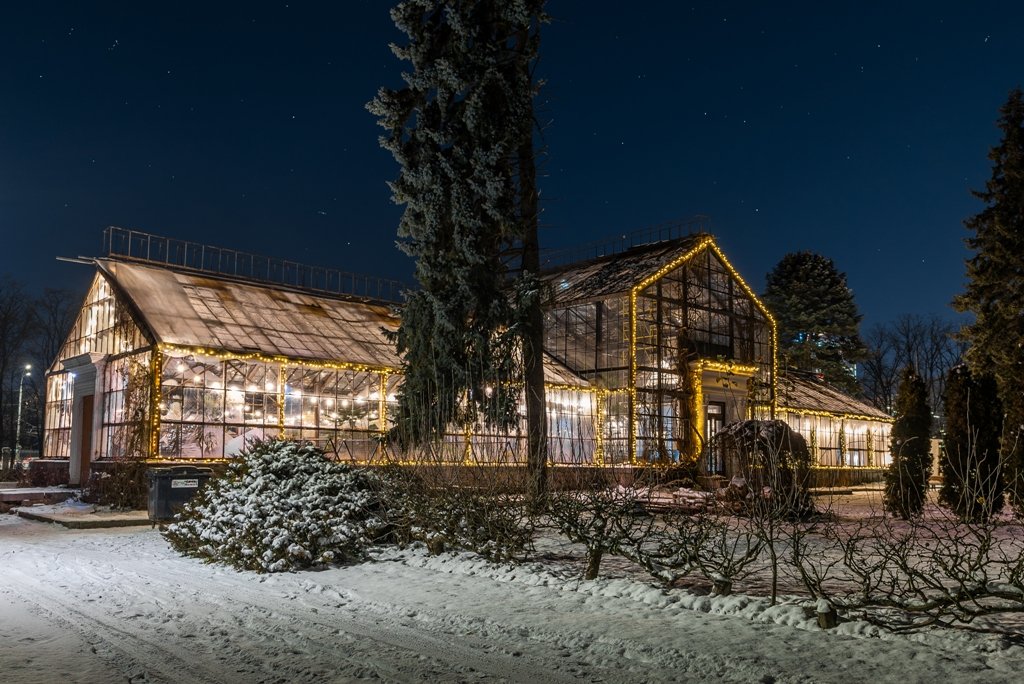 В Оранжерее на ВДНГ начнут работать фотозоны и теплый бар: как попасть на вечеринку Hendrick's Bar 3