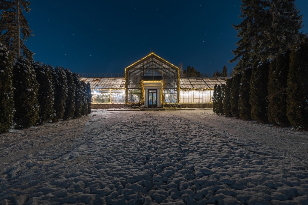 В Оранжерее на ВДНГ начнут работать фотозоны и теплый бар: как попасть на вечеринку Hendrick's Bar 6