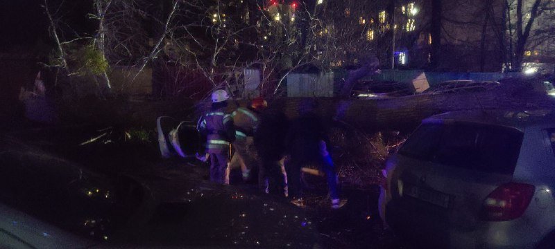 В Киеве упавшие дерево и электроопоры разбили четыре авто: в одной из машин были люди 5