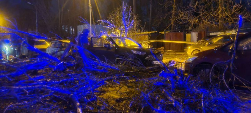 В Киеве упавшие дерево и электроопоры разбили четыре авто: в одной из машин были люди 9