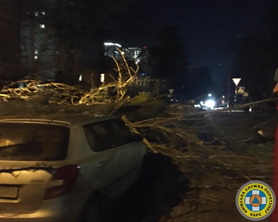 В Киеве сильный ветер валит столбы и деревья: в раздавленном автомобиле погиб водитель 2