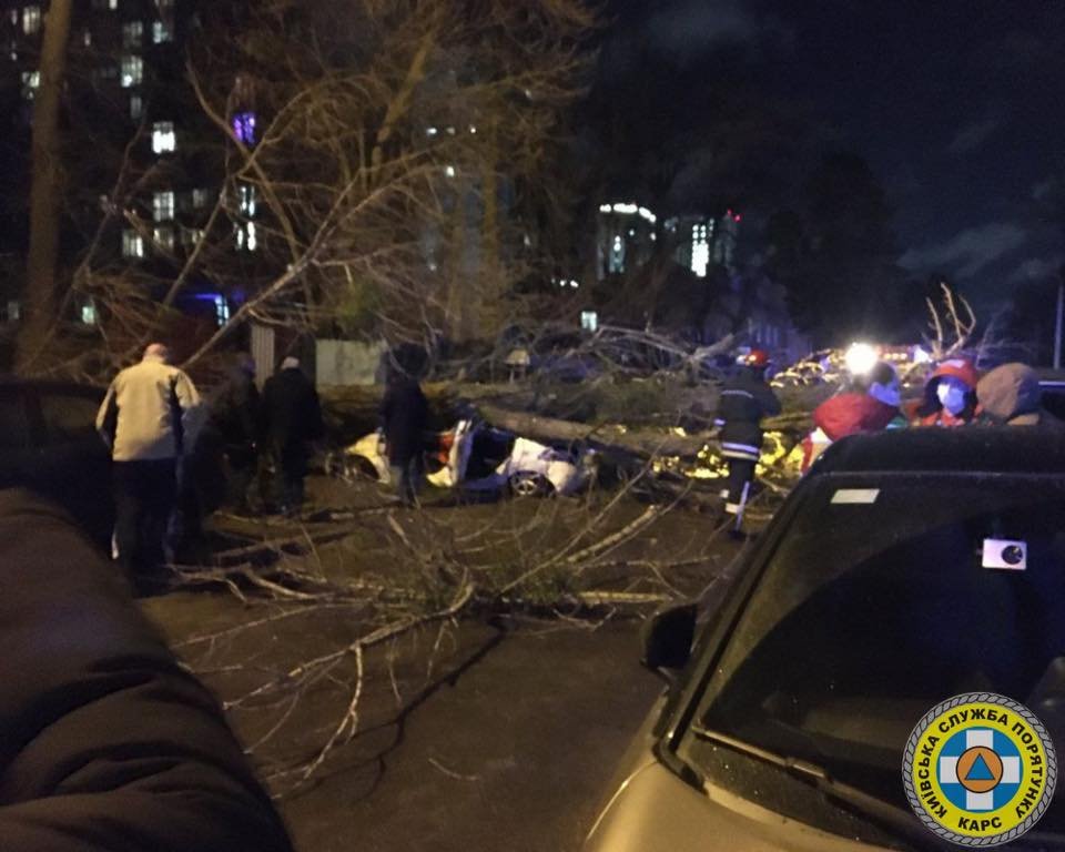 В Киеве сильный ветер валит столбы и деревья: в раздавленном автомобиле погиб водитель 6