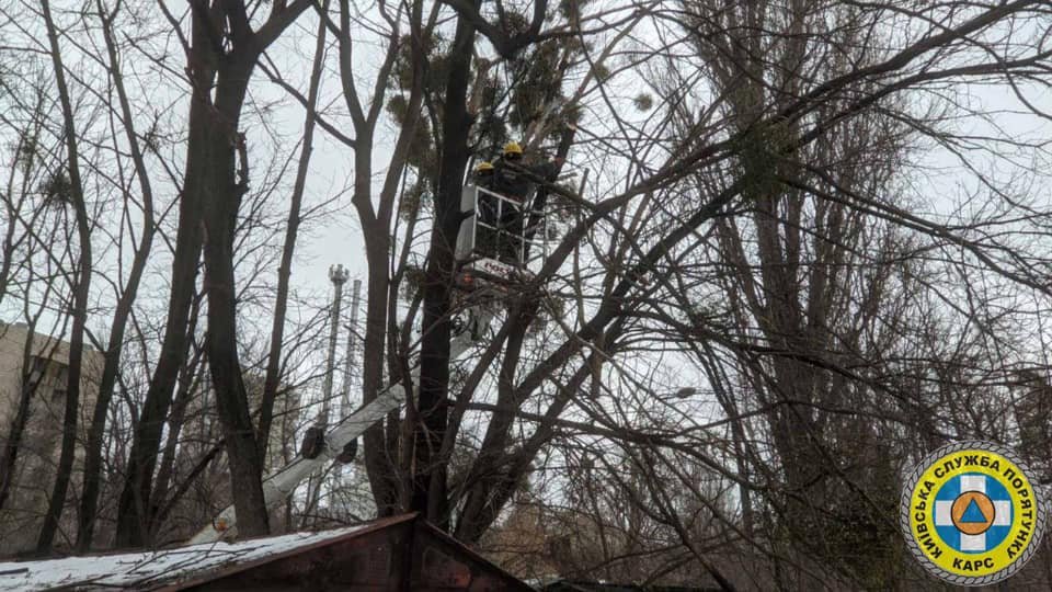 В Киеве сильный ветер валит столбы и деревья: в раздавленном автомобиле погиб водитель 7