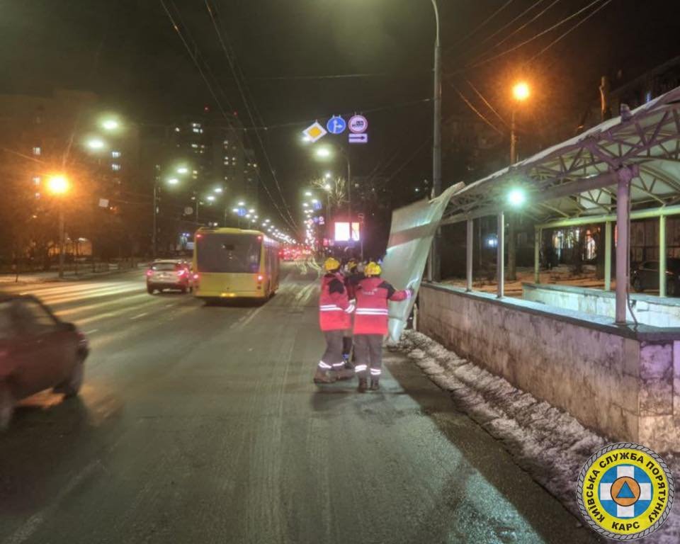 В Киеве сильный ветер валит столбы и деревья: в раздавленном автомобиле погиб водитель 8