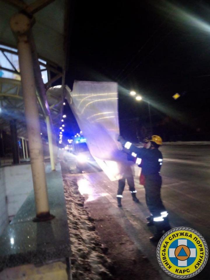 В Киеве сильный ветер валит столбы и деревья: в раздавленном автомобиле погиб водитель 9