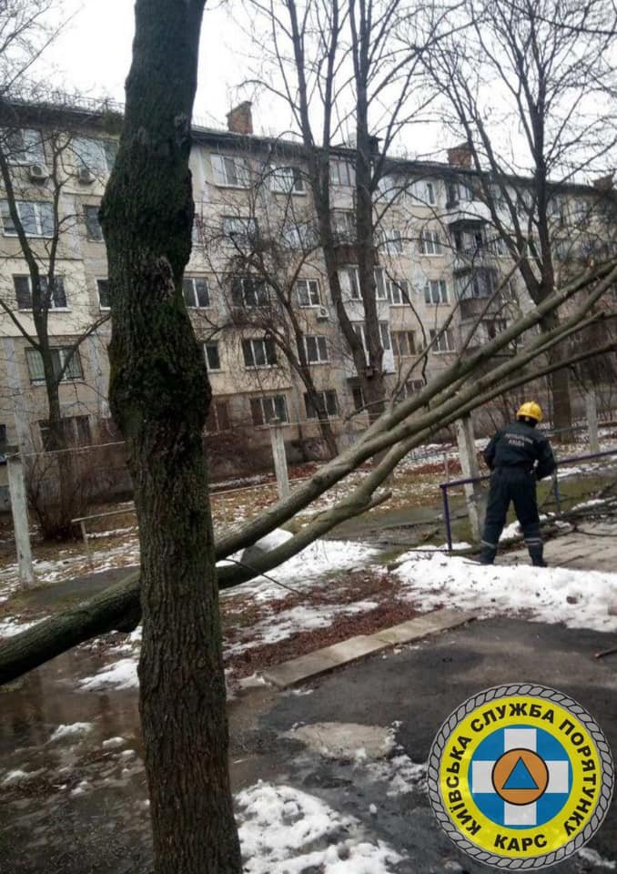 В Киеве сильный ветер валит столбы и деревья: в раздавленном автомобиле погиб водитель 10