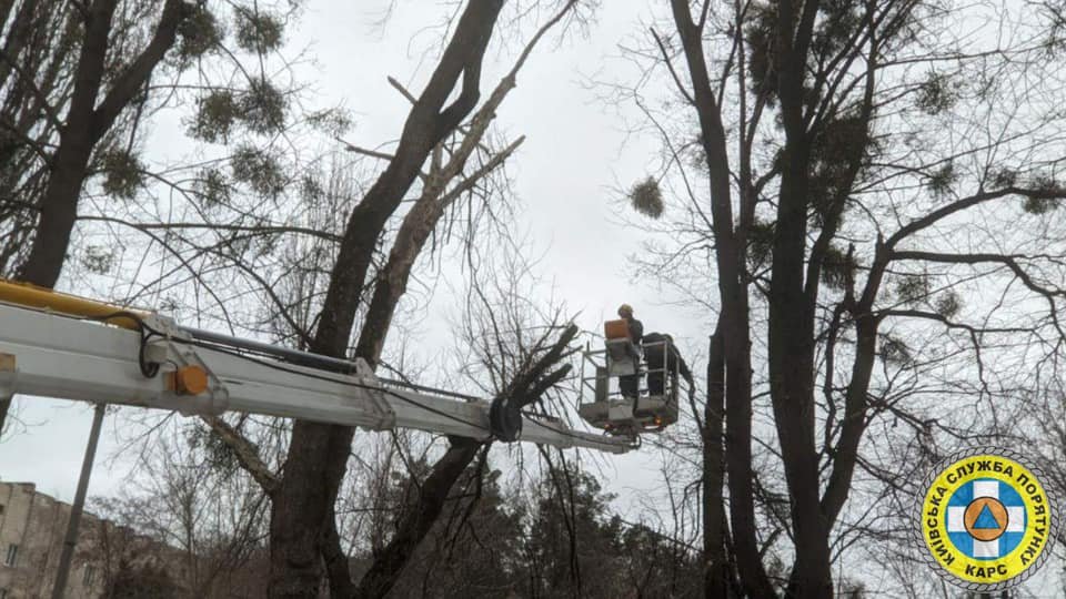 В Киеве сильный ветер валит столбы и деревья: в раздавленном автомобиле погиб водитель 11