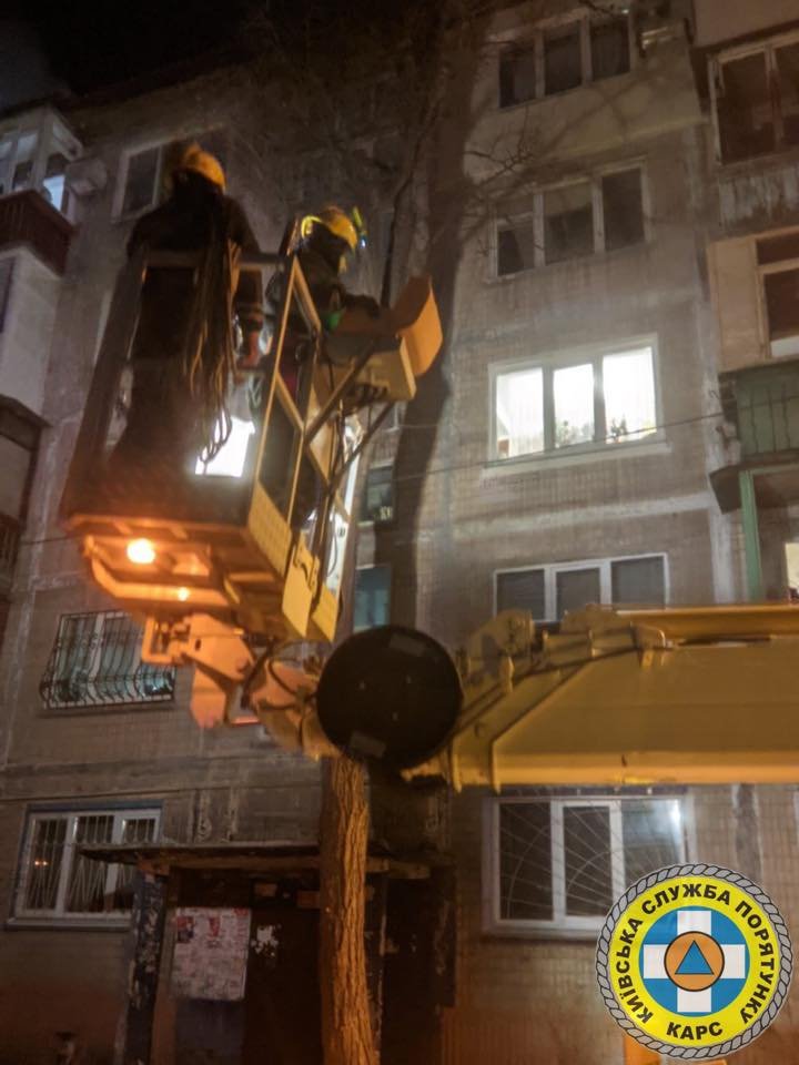 В Киеве сильный ветер валит столбы и деревья: в раздавленном автомобиле погиб водитель 14