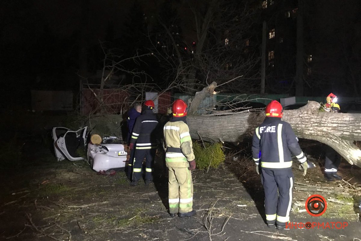 Последствия падения дерева на Верховинной в Киеве, где погиб мужчина: фото и видео с места 1