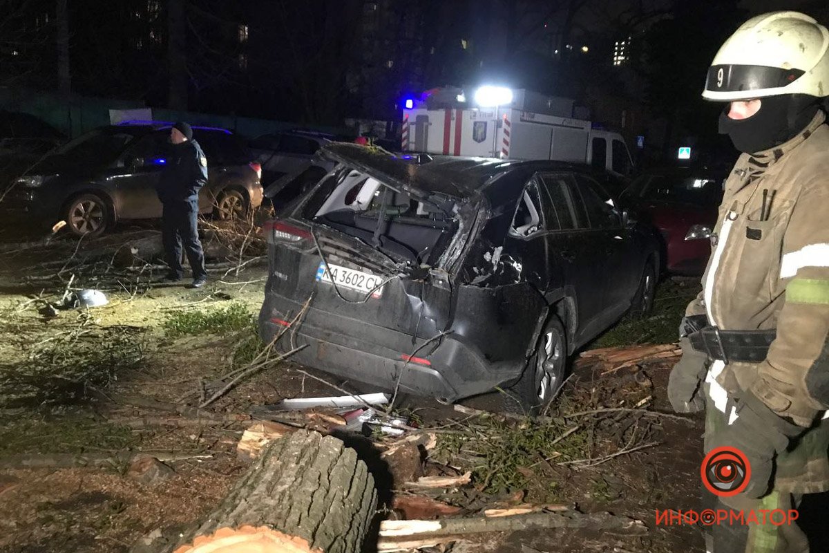 Последствия падения дерева на Верховинной в Киеве, где погиб мужчина: фото и видео с места 2