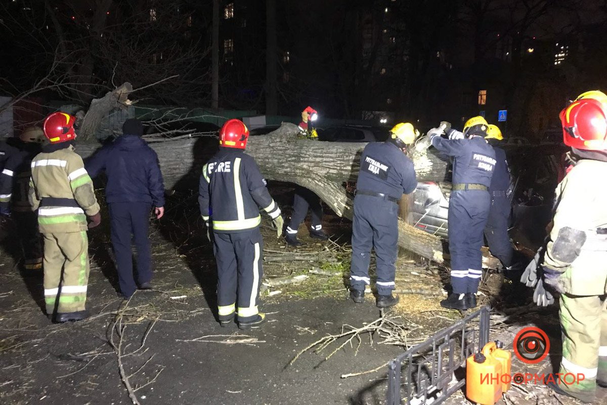 Последствия падения дерева на Верховинной в Киеве, где погиб мужчина: фото и видео с места 3
