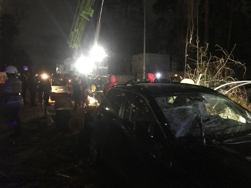 Последствия падения дерева на Верховинной в Киеве, где погиб мужчина: фото и видео с места 7