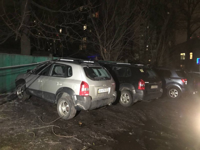 Последствия падения дерева на Верховинной в Киеве, где погиб мужчина: фото и видео с места 8