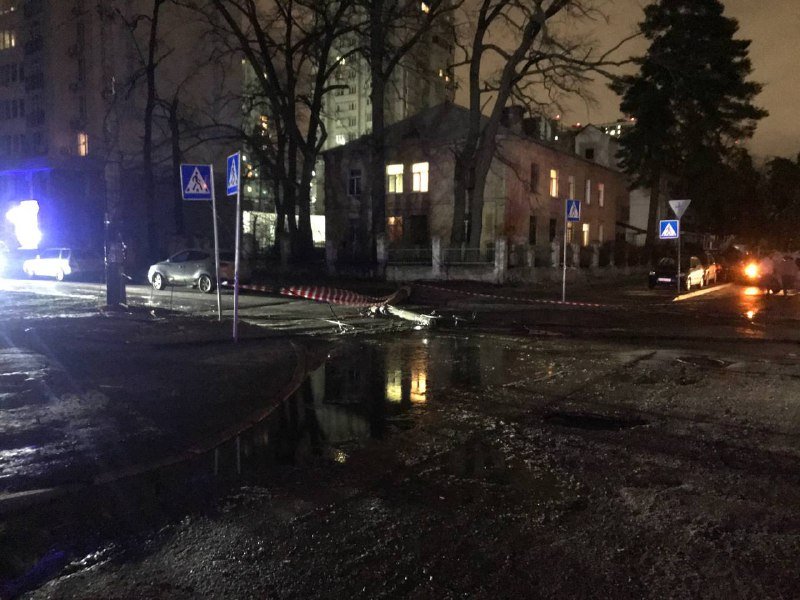 Последствия падения дерева на Верховинной в Киеве, где погиб мужчина: фото и видео с места 10