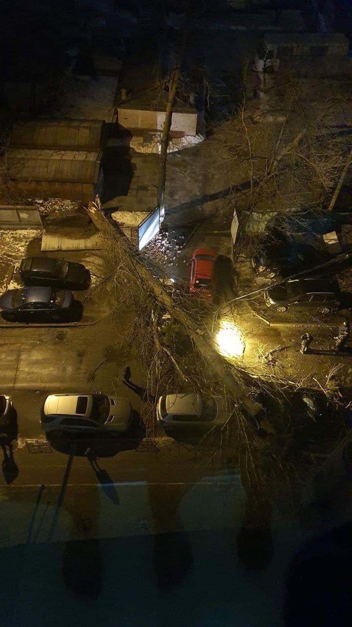 Слетевшая кровля, упавшие деревья и столбы, раздавленные люди: список последствий бушующего ветра в Киеве 19