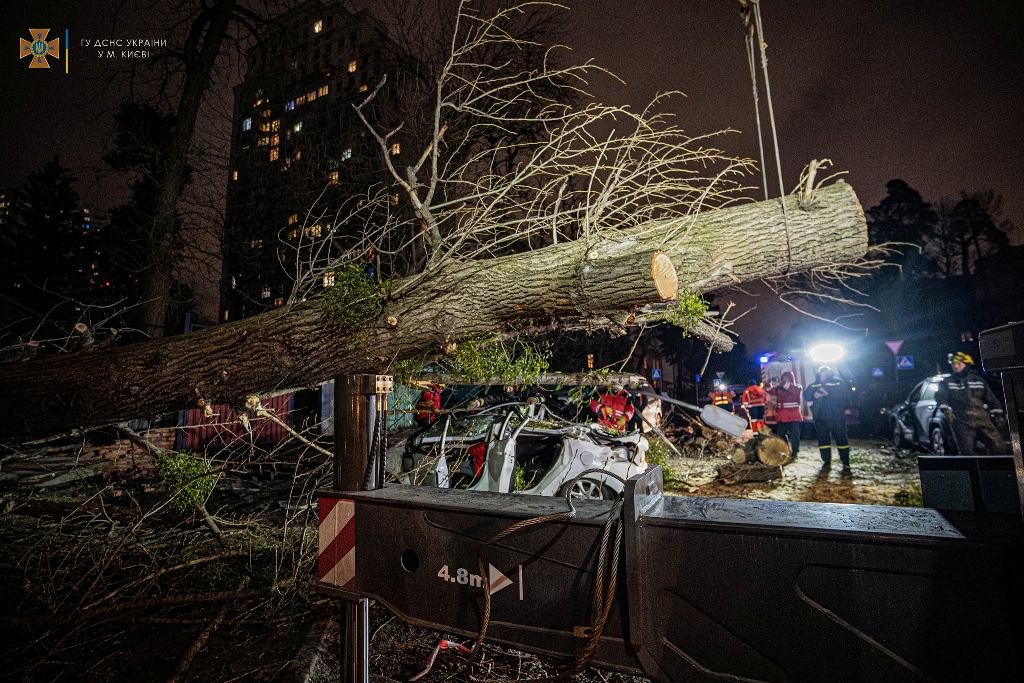 В Киеве упавшее огромное дерево убило водителя Peugeot: чтобы достать тело, спасатели вызывали кран. Фото с места 2
