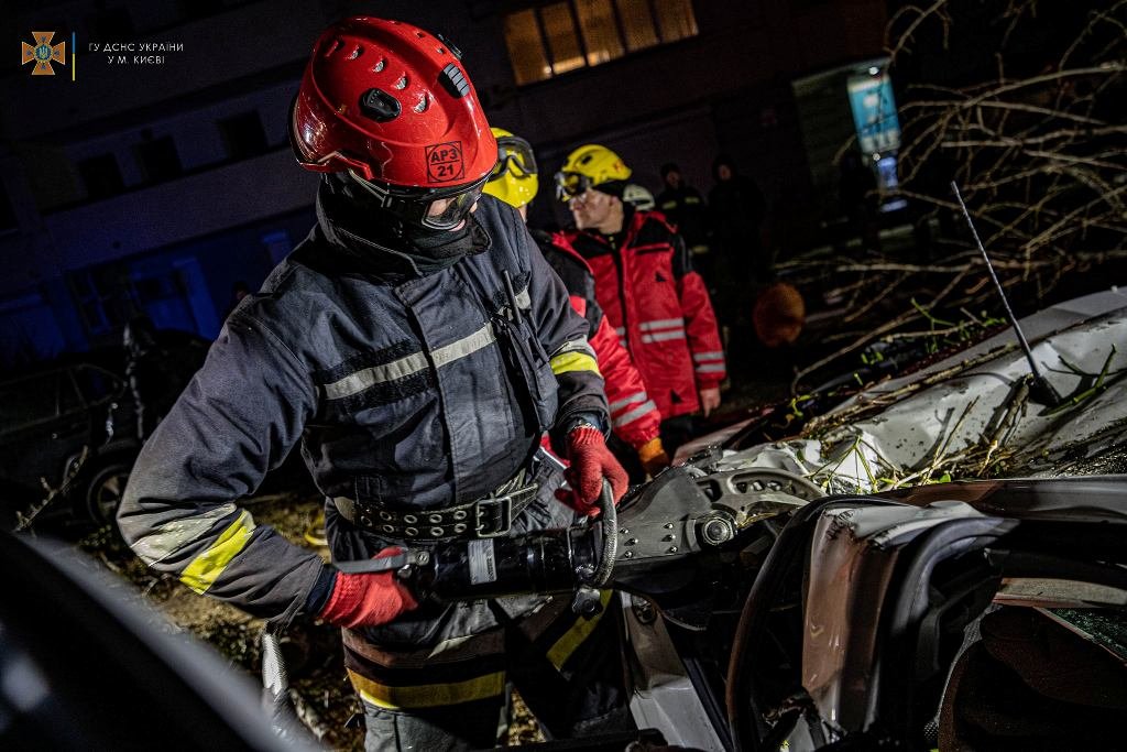 В Киеве упавшее огромное дерево убило водителя Peugeot: чтобы достать тело, спасатели вызывали кран. Фото с места 7