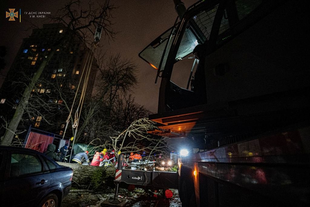 В Киеве упавшее огромное дерево убило водителя Peugeot: чтобы достать тело, спасатели вызывали кран. Фото с места 9