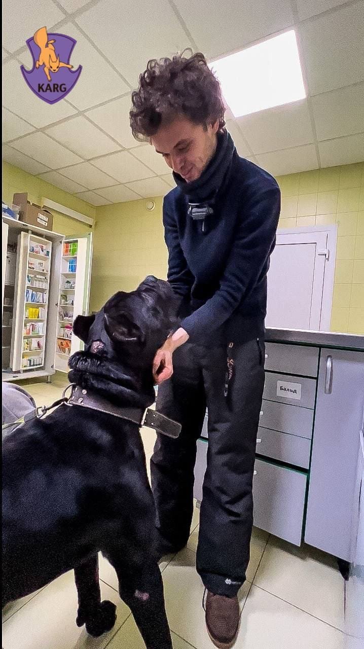 В Киеве спасли от усыпления пса, который пять дней сторожил тело умершего хозяина: собаке ищут дом 3