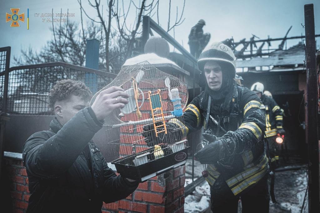 В Киеве во время пожара в частном доме спасли троих человек 5
