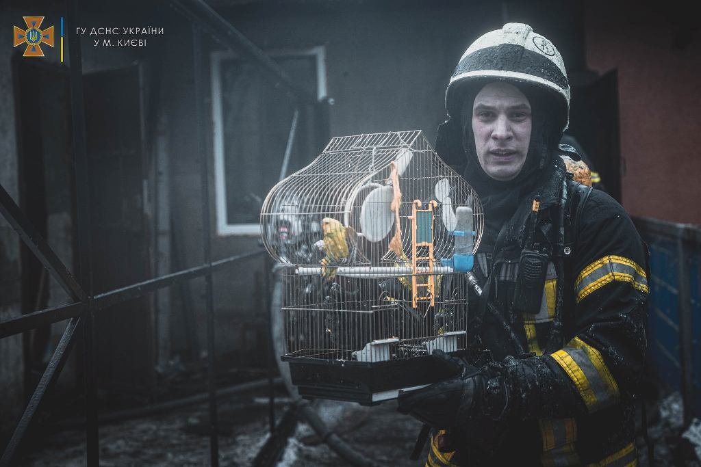 В Киеве во время пожара в частном доме спасли троих человек 13