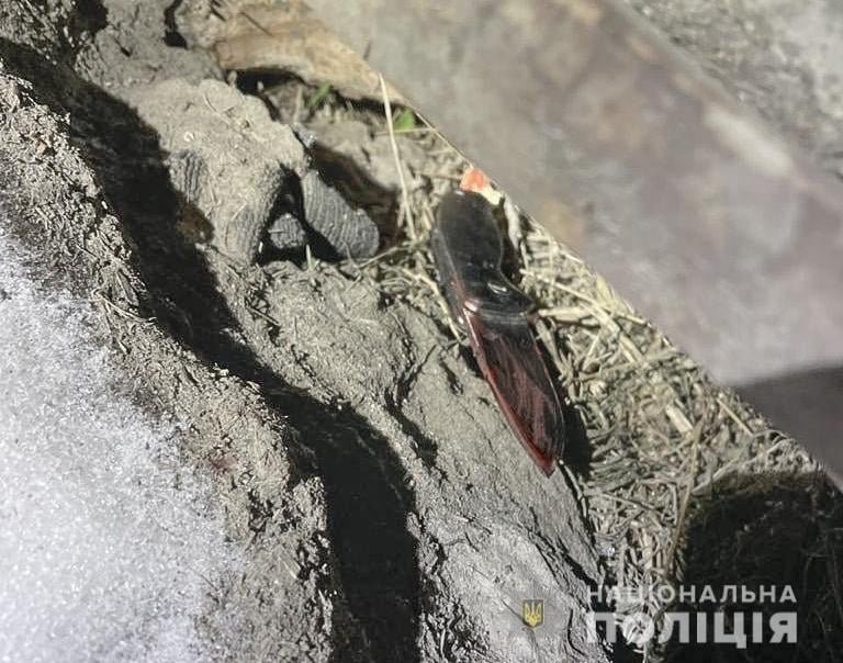 В Киеве в Печерском районе на стройплощадке зарезали мужчину: подробности убийства 3