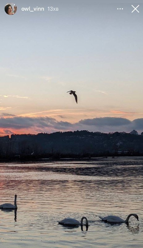 Красивый закат в Киеве: жители столицы поделились яркими фото 1