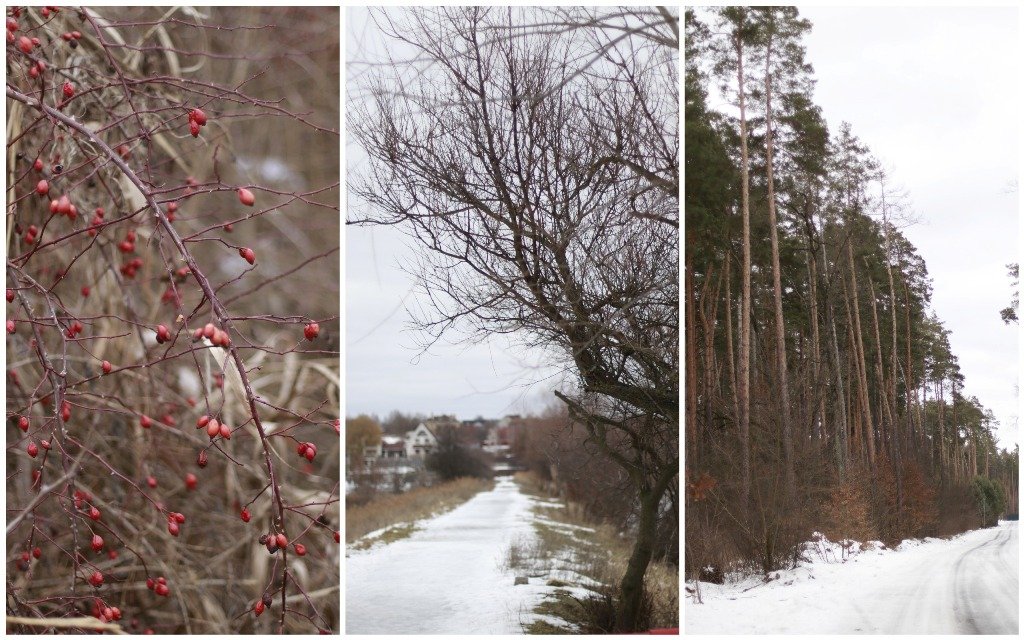 Куда сбежать из Киева на выходные: обзор отеля Bobritsa dacha и ресторана KOMMUNA Kitchen 23