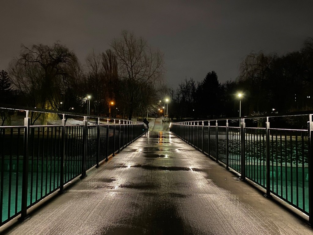 В Киеве в парке «Отрадный» отремонтирован пешеходный мост через озеро: что изменилось и как он выглядит 1