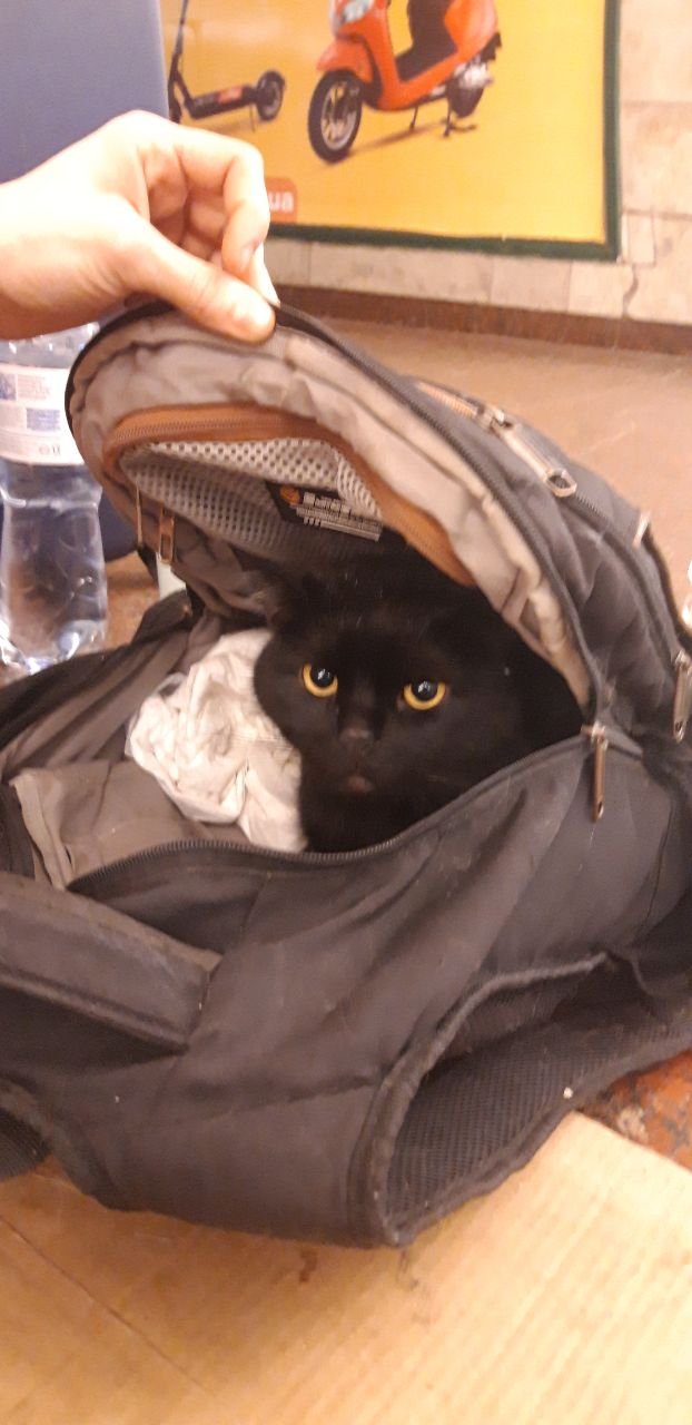 Жизнь в бомбоубежище: как киевляне прожили еще один день войны 5