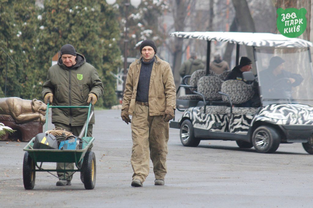 Что происходит сегодня в Киевском зоопарке: фото 5