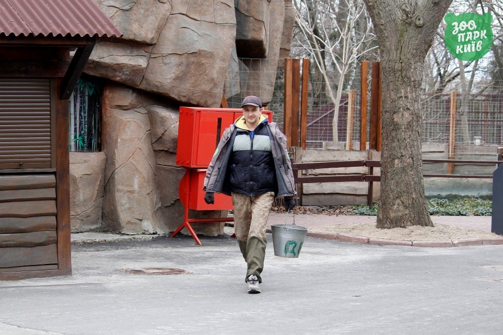 Что происходит сегодня в Киевском зоопарке: фото 7