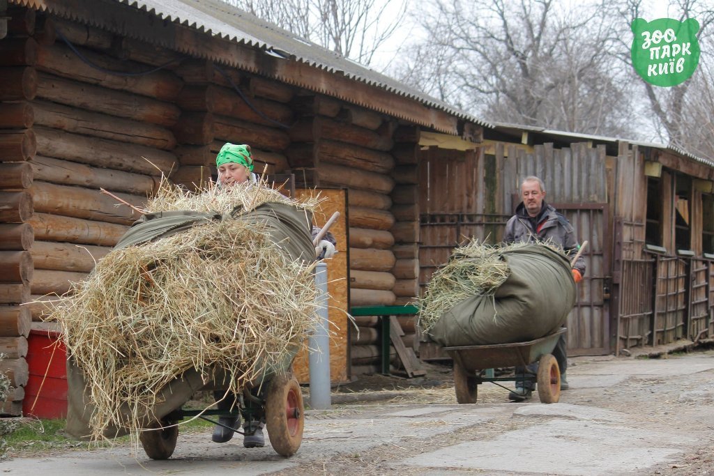 Что происходит сегодня в Киевском зоопарке: фото 8