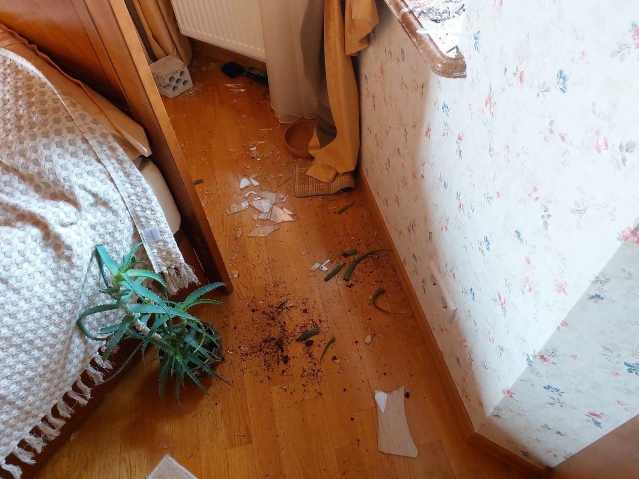 Под Киевом мародера задержали прямо во время проникновения в дом 1