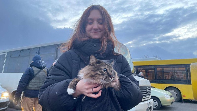 Как выглядит Ирпень за 15 дней войны: видео и фото улиц и домов после обстрелов 13