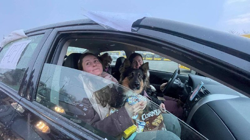 Как выглядит Ирпень за 15 дней войны: видео и фото улиц и домов после обстрелов 27